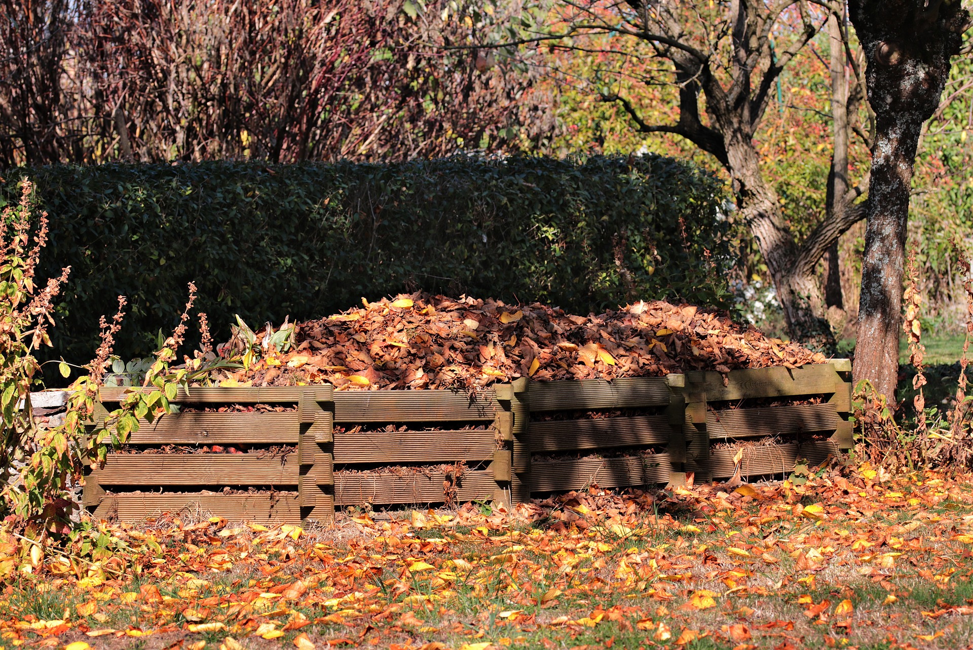 Compost de feuilles mortes
